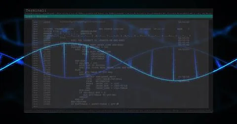 Displaying terminal running code listings in dark workspace, with blue double Stock Photos