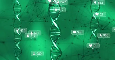 Displaying three DNA helices with central helix glowing in data network, with Stock Illustration