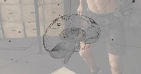 Displaying translucent 3D brain and network overlay over gym, shirtless man Stock Photos