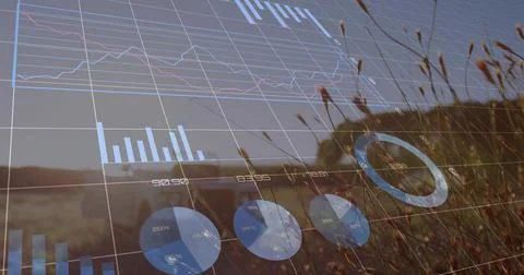 Displaying translucent data overlay covering rural land in warm late sun, with 库存照片