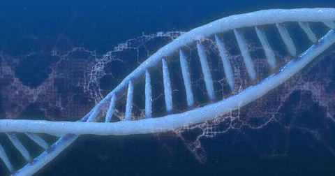 Displaying translucent DNA double helix model floating in lab simulation over Stock Illustration