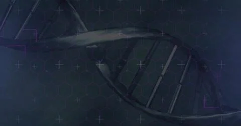 Displaying translucent DNA double helix running diagonally in tech interface, Illustrazione stock