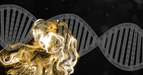 Displaying translucent gray DNA helix spanning center in studio, with golden Illustration