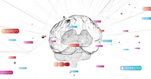 Displaying translucent grayscale 3D brain in white digital space, with colored Stock Photos