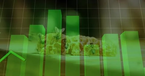 Displaying translucent green 3D bar chart overlaying honeycomb close-up in Stock Photos