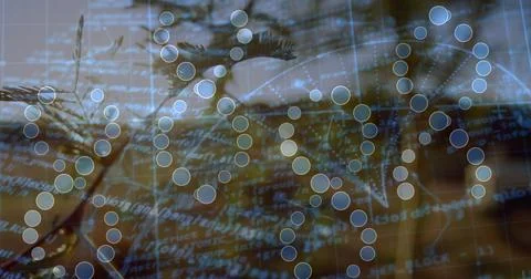 Displaying translucent node network occupying center in studio, with code text Stock Photos