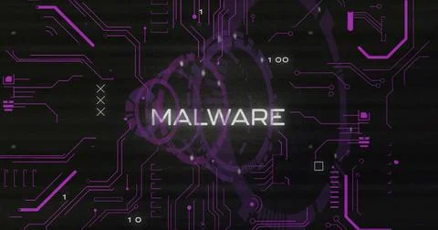 Displaying white MALWARE text flashing on cyber screen, with purple circuitry, 스톡 사진