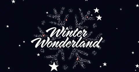 Displaying white 'Winter Wonderland' script over sparkle snowflake on navy Ilustração Stock