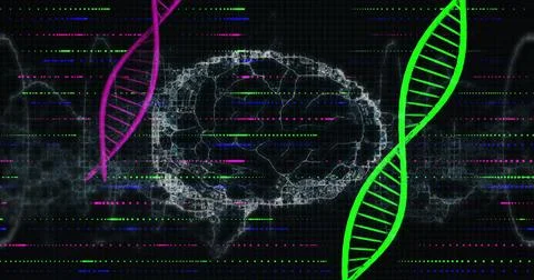 Displaying wireframe brain on dark grid, magenta-green DNA helices, streaming Stock Illustration
