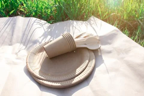 Disposable biodegradable picnic tableware. Foto stock