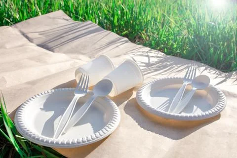 Disposable biodegradable tableware on a picnic in nature. Foto stock