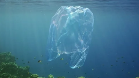 Disposable blue plastic bag floating in blue water in bright sunbeams Stock Footage 252016170