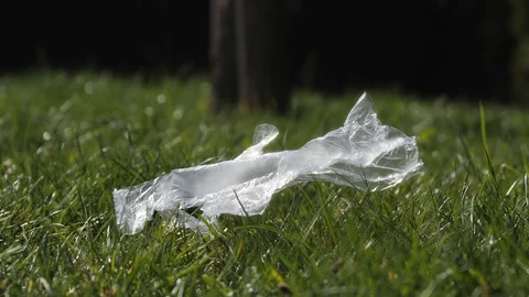 Disposable glove lying on the grass after usage during covid-19 world epidemic Stock-Footage 128210544