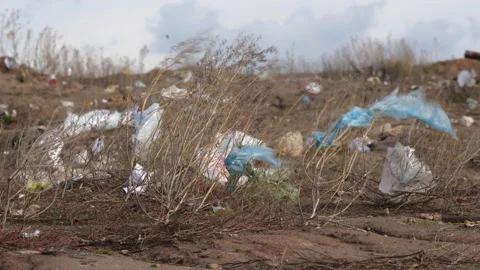 Disposable packaging flutters in the wind in the tall grass.  스톡 동영상 146616852