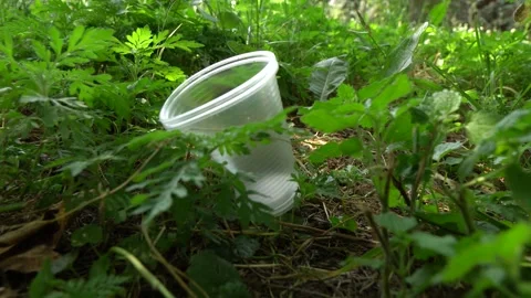 Disposable Plastic Cup In Green Grass, Environmental Pollution Stock Footage 156942559