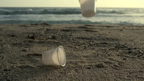 Disposable plastic dirty coffee cups discharged waste,pollution on sea shore Stock Footage 130695529
