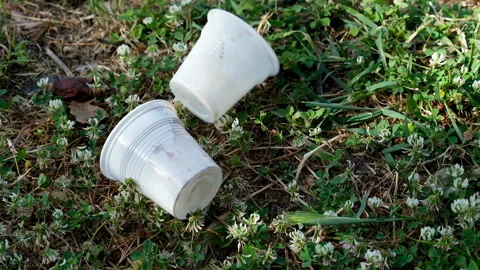Disposable plastic dirty coffee cups discharged waste on grass ground,pollution Stock Footage 130769096