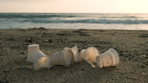 Disposable plastic dirty coffee cups discharged waste,pollution on sea shore Stock Footage 130860440