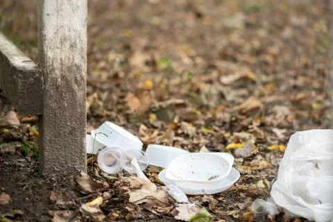 Disposable plastic tableware dumped in the middle of the forest. Concept Foto stock
