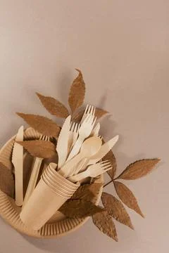 Disposable tableware from natural materials Foto stock