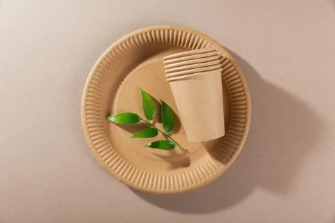 Disposable tableware from natural materials Stock Photos