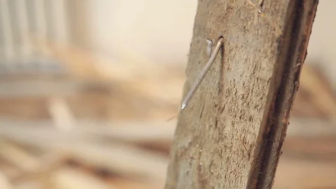 Disposal of old boards. Stock Footage 105804875