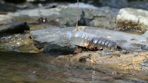 Disposed Plastic Bottle in Nature Stock Footage 21931174