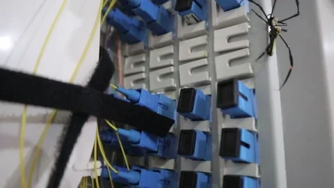 A disruption in the fiber optic network cable. Stock Footage 322560865