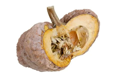 Dissect the pumpkin in longtime Stock Photos