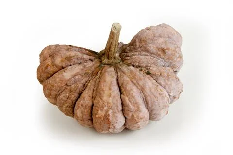 Dissect the pumpkin in longtime Stock Photos