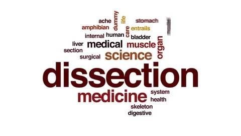 Dissection animated word cloud, text design animation. 스톡 동영상 76699121