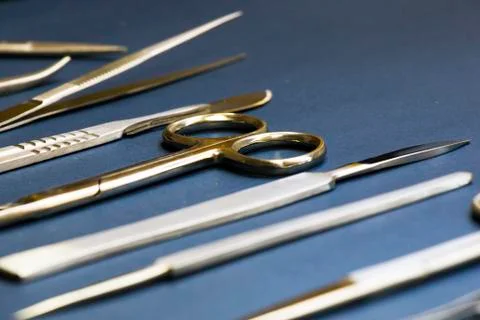 Dissection Kit - Premium Quality Stainless Steel Tools for Medical Students Stock Photos