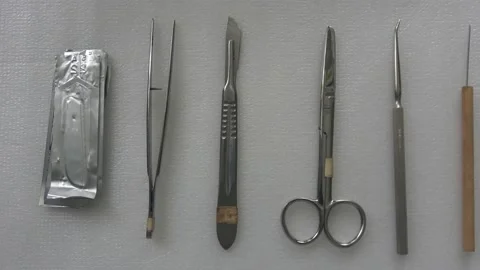 Dissection Kit tools Stock Footage 157298569