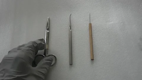 Dissection Kit tools Stock Footage 157298578