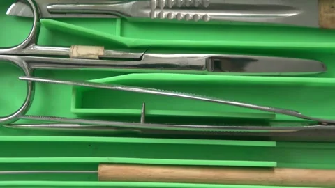 Dissection Kit tools in small plastic case Stock Footage 157298574