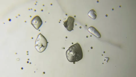 Dissolving salt crystals on water microscope footage closeup timelapse Stock Footage 148889034