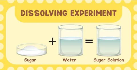 Dissolving science experiment with sugar dissolve in water Stock Illustration