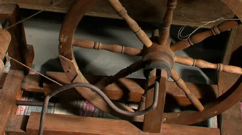 Distaff (close up) Stock Footage 34301782