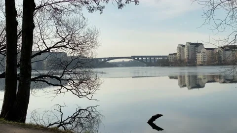 Distance bridge Vidéo 127406735