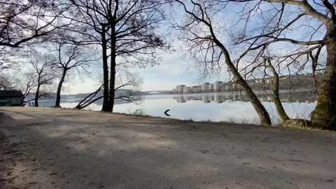 Distance bridge Vidéo 127430098