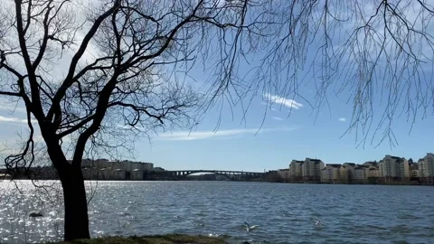 Distance bridge Vidéo 127430187