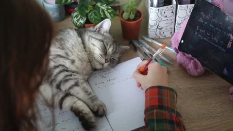 Distance learning at home Video stock 163615366