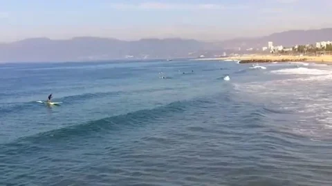 In the distance, a surfer uses a paddle to catch a ride on a small wave in the s Stock Footage 98248024