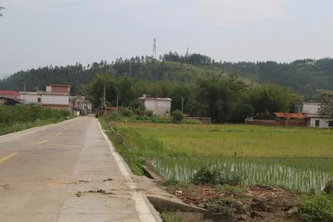 In the distance, there is an empty road in front of several houses on both .. Stock Photos