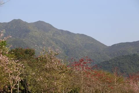 In the distance, there is an undulating mountain range covered in green veg.. Stock Photos