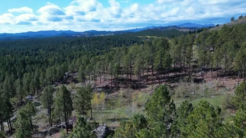 Distance view of the Black Hills Stock Footage 297594479