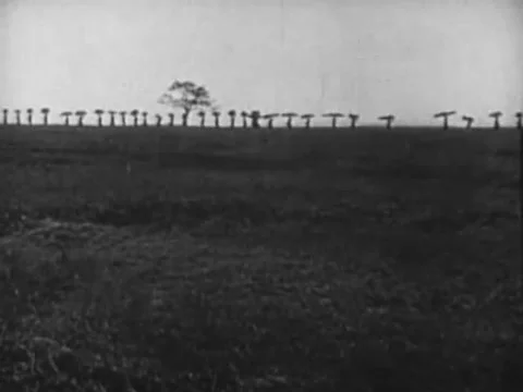 Distance view of natives walking in line cross country, 1940s Stock Footage 65860410