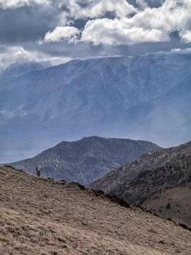 Distance of a view of valley Stock Photos