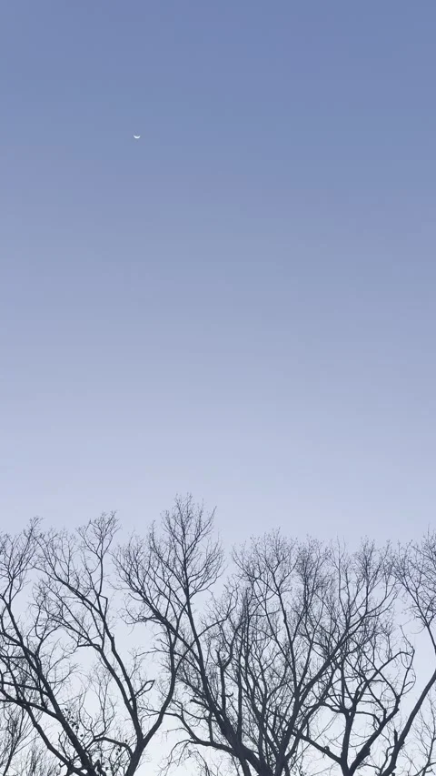 Distant Airplane Crossing Clear Blue Evening Sky Video stock 344807561