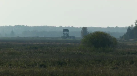 Distant birdwatching tower in meadow Video stock 42476198